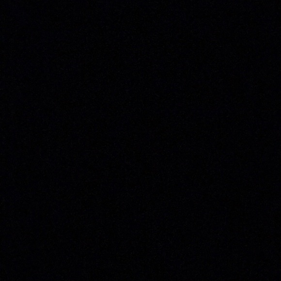 Meet your Posher, Addison - Picture 1 of 1